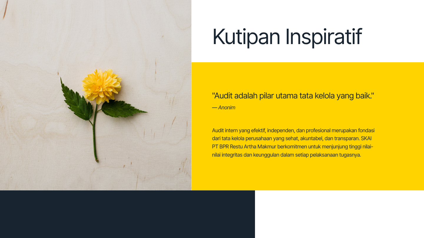 Piagam Audit SKAI